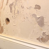 rising damp